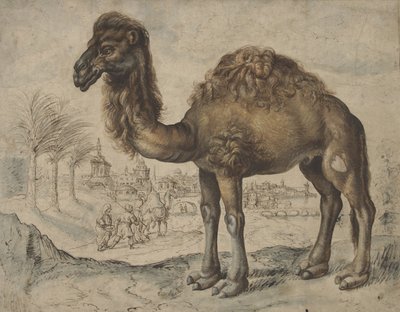 都市のある東の風景の中のヒトコブラクダ、1600年（紙にインクとブラシ） 作： Maarten de after Vos
